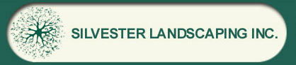 Silvester Landscaping, Inc.